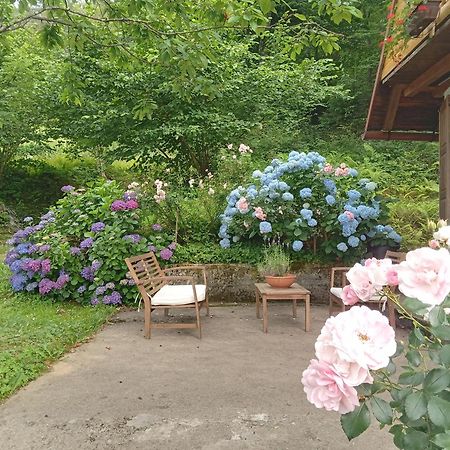 Holiday Home Vesna Brod na Kupi Εξωτερικό φωτογραφία