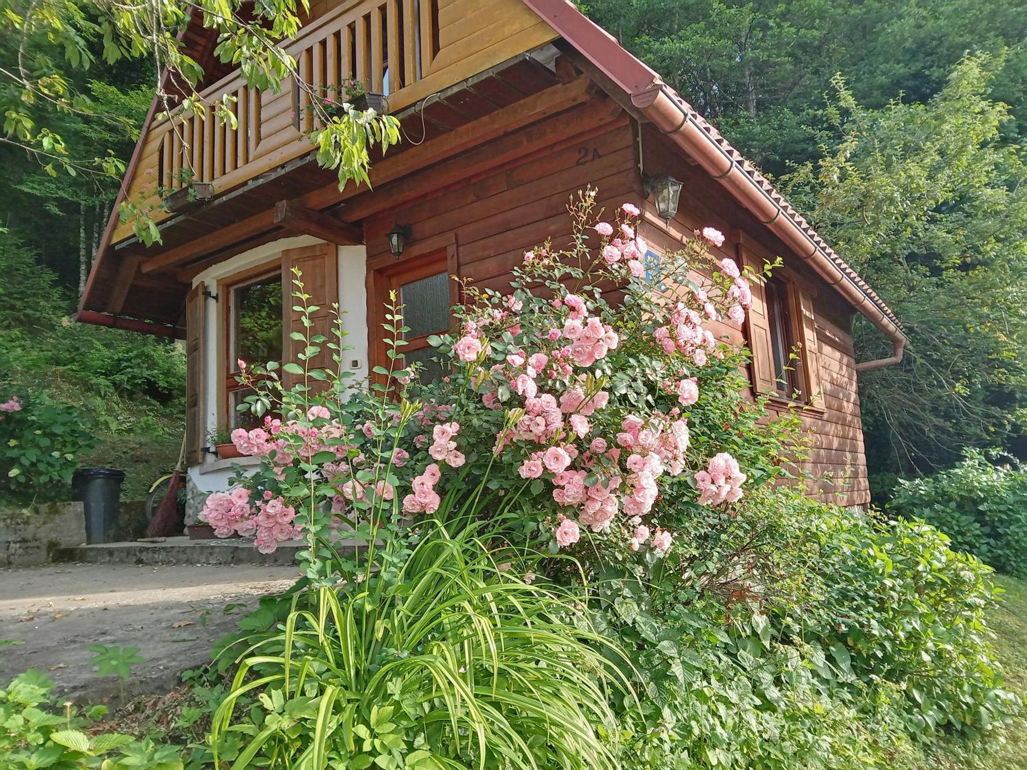 Holiday Home Vesna Brod na Kupi Εξωτερικό φωτογραφία
