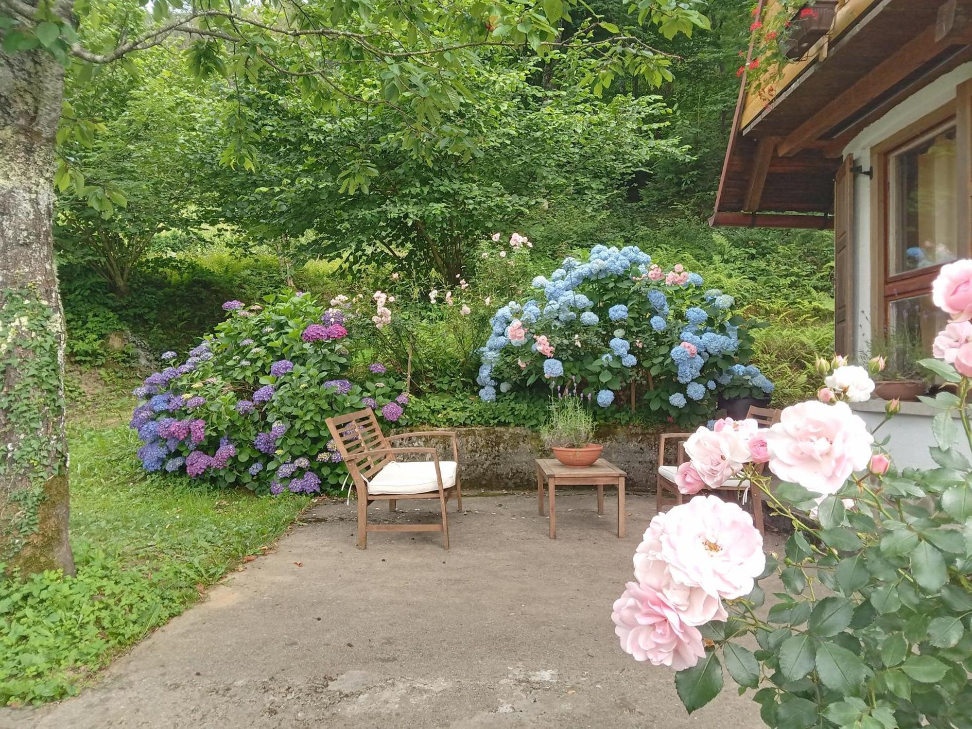 Holiday Home Vesna Brod na Kupi Εξωτερικό φωτογραφία