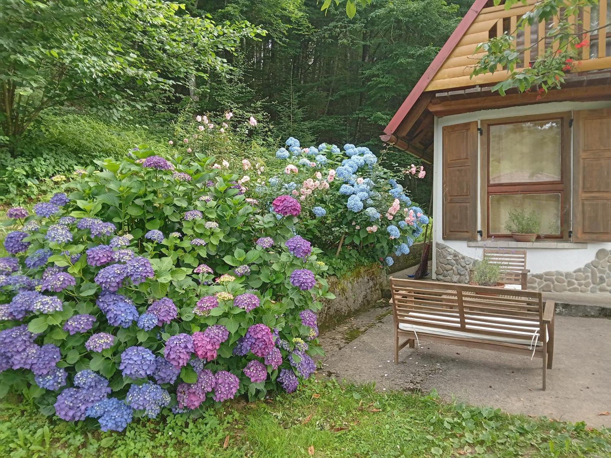 Holiday Home Vesna Brod na Kupi Εξωτερικό φωτογραφία