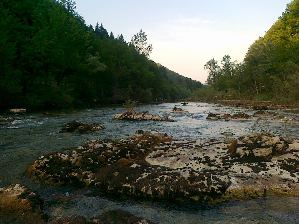 Holiday Home Vesna Brod na Kupi Δωμάτιο φωτογραφία